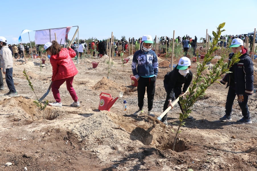 Turkey Expands Its Forests While NGOs Call For More Protecti
