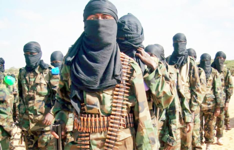 Terrorists Kill Niger Councilor 