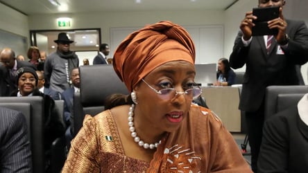 Corruption Allegations: Why FG Has Not Extradited Alison-Mad
