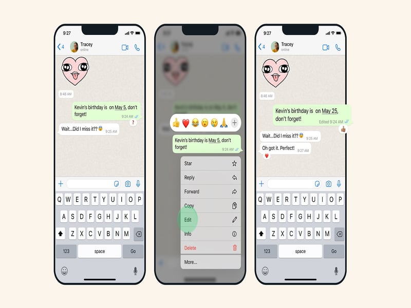 Benefits Of WhatsApp Sent Message Edit Feature