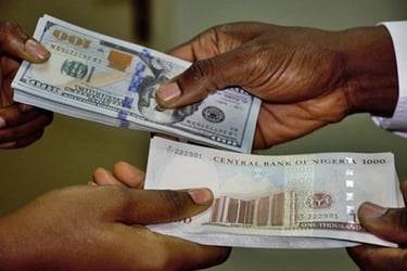 Expert says naira may drop to N1,500 per dollar in 2024