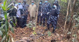 Imo: Police apprehend five kidnappers, to conduct DNA test o