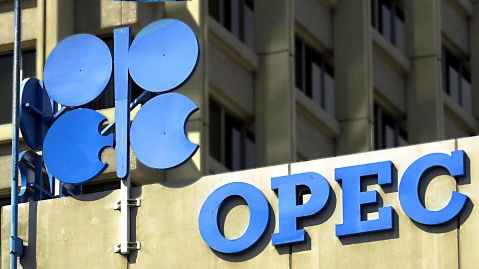 Natural Gas: OPEC Calls For Oriented Strategy, Timely Invest