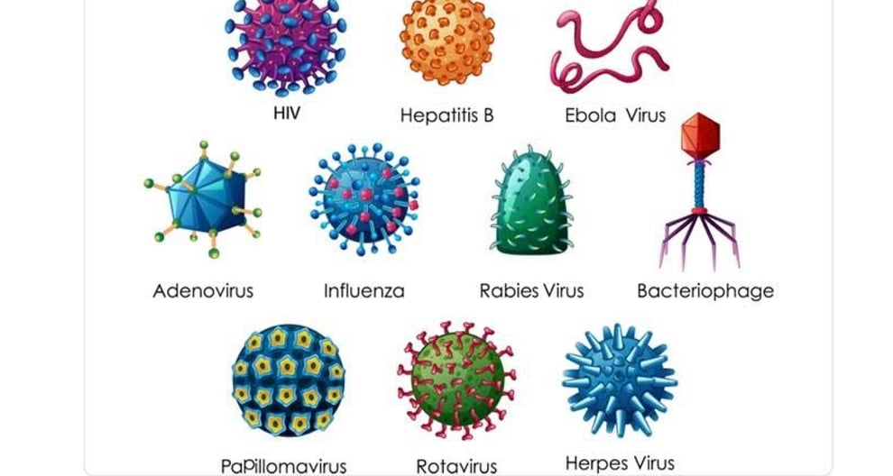 Ten Oldest Known Viruses In The World 