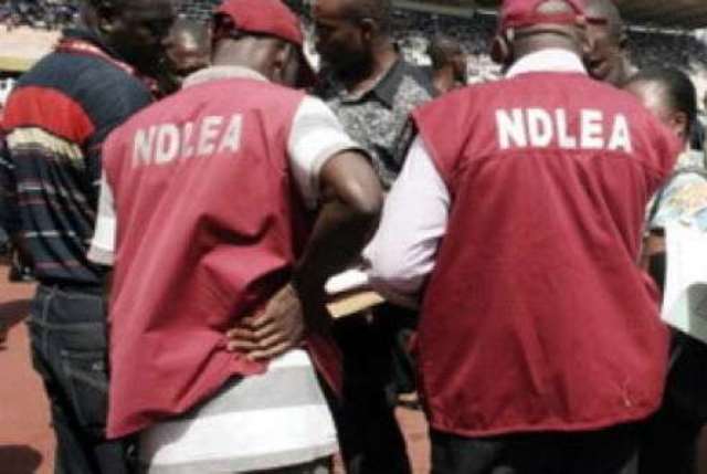 NDLEA Seizes 1,399kg Of Hard Drugs, Seals Shop, Four Houses 