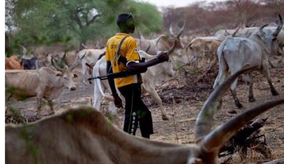 Herdsmen Invade Delta Community, Kill Father, Son 