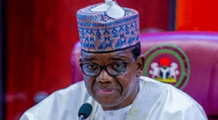 'Declare support for Tinubu or exit' - Matawalle tells North