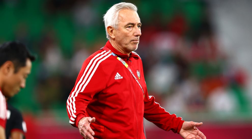 UAE Sack Van Marwijk As Coach With World Cup Ahead