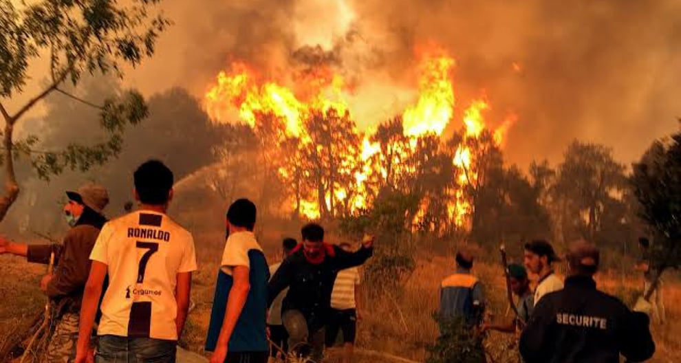 Algeria: Wildfires Kill Fifteen, Thousands Evacuated
