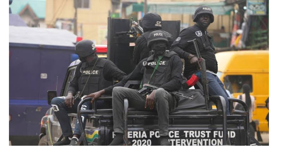 Niger Police Confirms Stopping Pro-Tinubu Rally