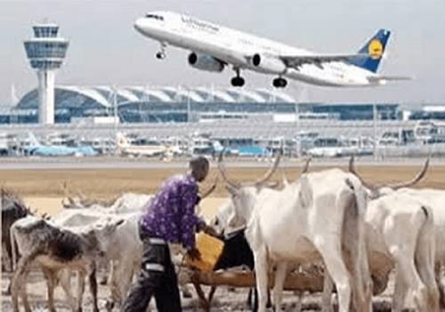 Herders Never Invaded Umueri Airport— Anambra Government