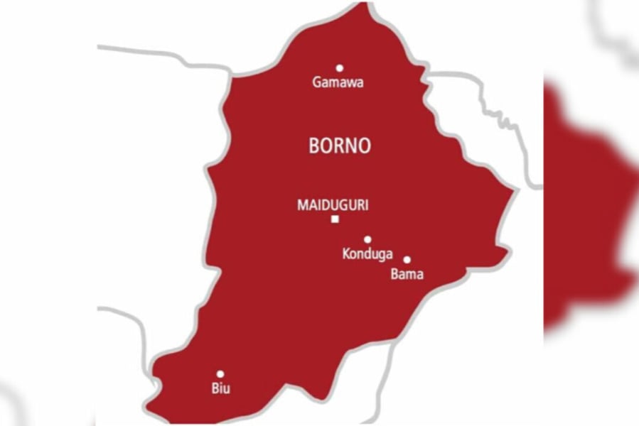 Borno: Violence Against Women Surges As Government Convicts 