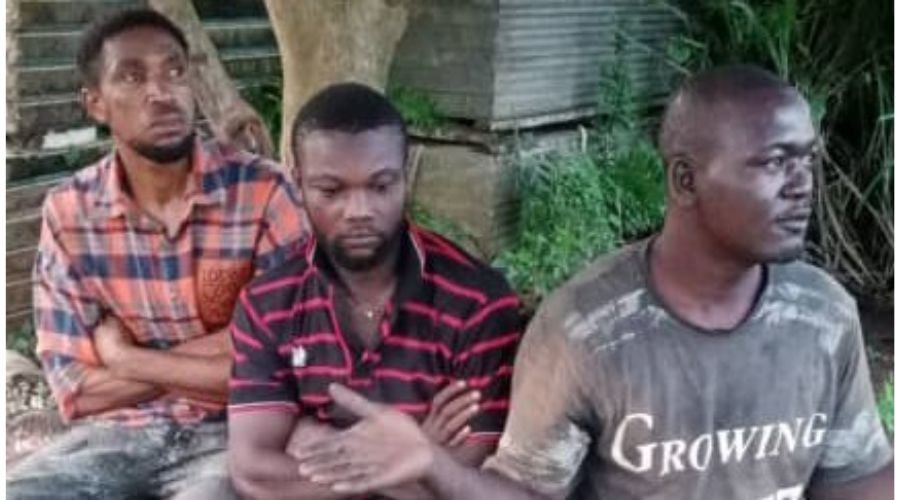 Three-Member Robbery Syndicate Arrested In Ogun