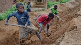 FG calls for state action to fight child labour