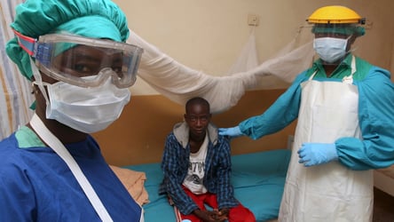 Lassa Fever: Nigeria Records 16 Deaths In One Week