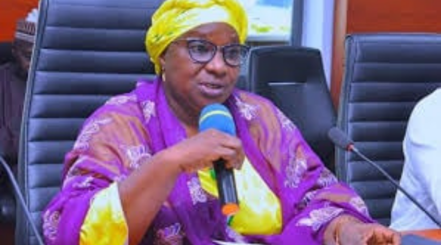 2023: Kaduna Deputy Governor Calls For Support For Female As