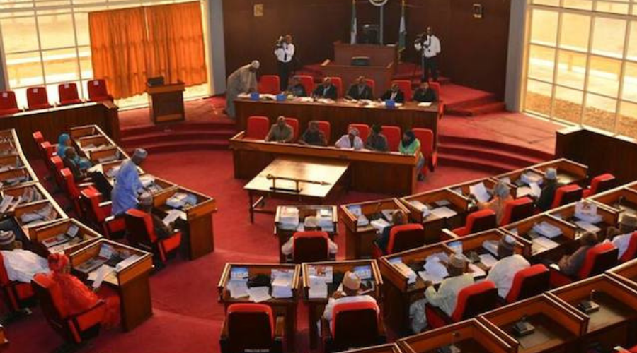 Niger Assembly Recommends Suspension of 15 Council Chairmen