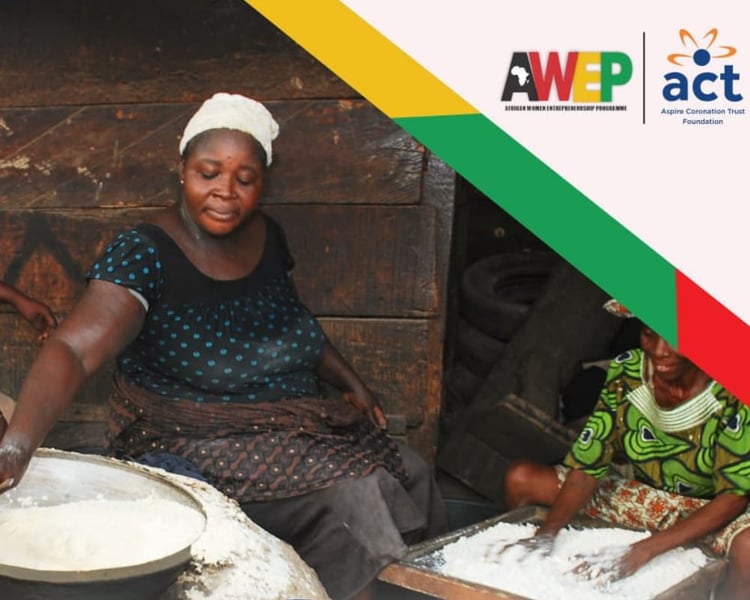 AWEP Gets N8 Million Grant For  Women, Youth Empowerment