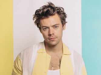 Harry Styles Says Acting Not His Strong Suit