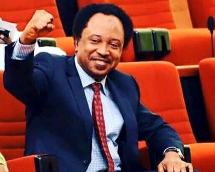 I Will Protect Lives If Voted Governor — Shehu Sani
