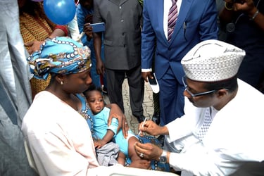 WHO hails Nigeria for introduction of vaccine against mening