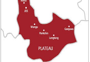 Root Crops Farmer Seminar Set To Hold In Plateau