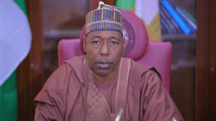 Borno: Zulum approves new board members in education sector