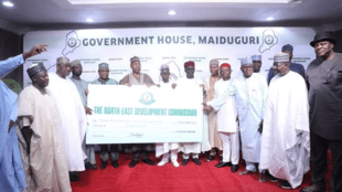 NEDC Announces N2 Billion Donation To Maiduguri Monday Marke