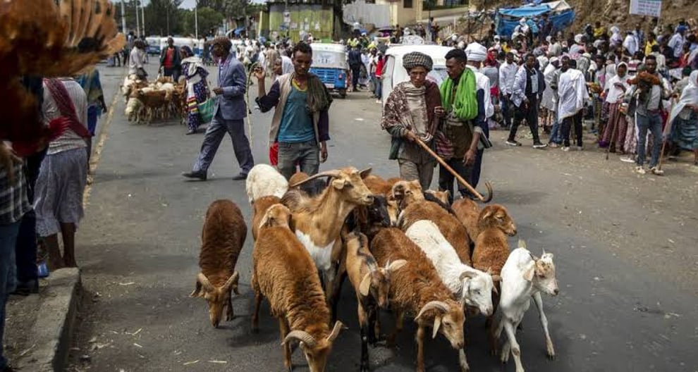 Ethiopia: Calm Returns After Days Of Protests