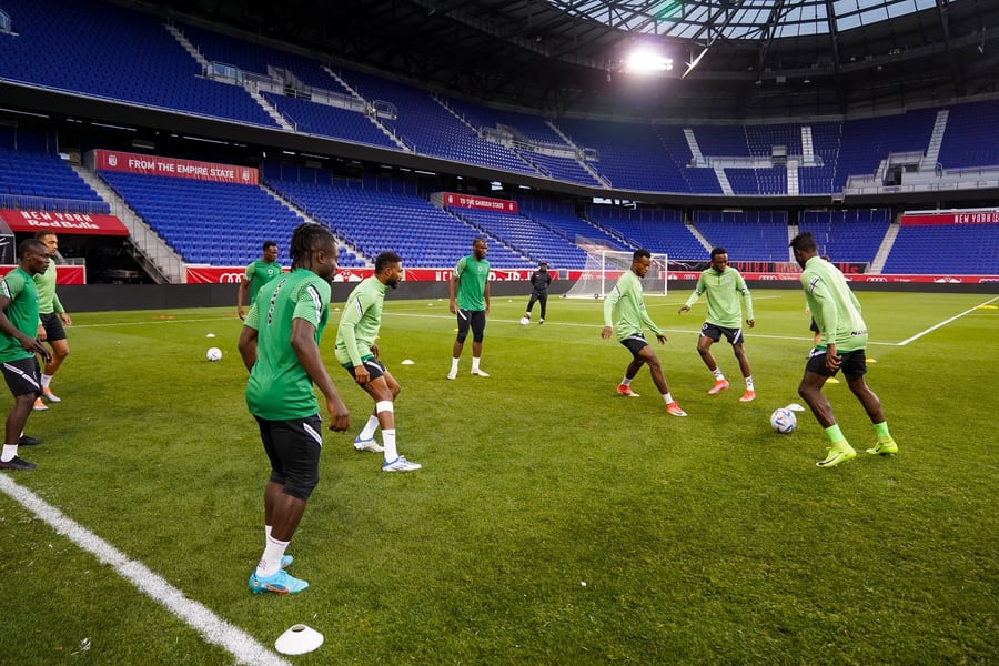 Super Eagles To Face Costa Rica In November