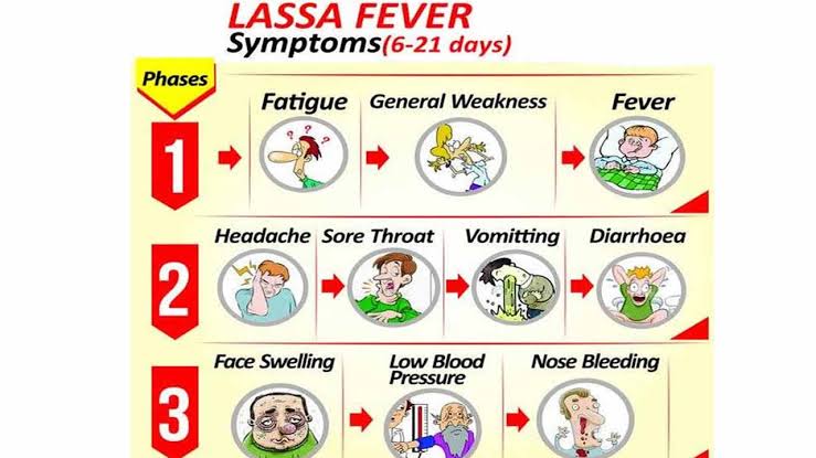 Cases Of Lassa Fever Confirmed In Nasarawa State