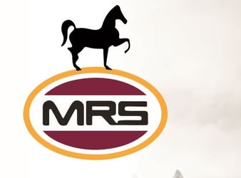 MRS Oil Nigeria Plc Appoints Sunday Oyekale As R&C Manager