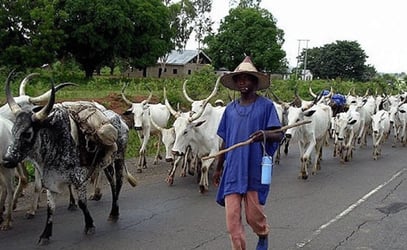 Kwara Group Raises Alarm As Herdsmen Take Over Community 