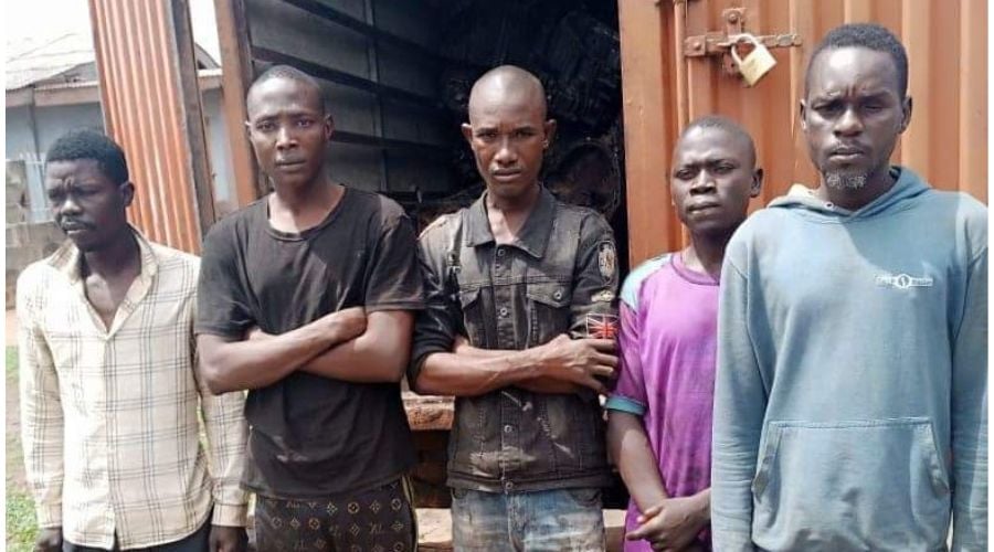 Ogun Police Arrest Five For Armed Robbery 