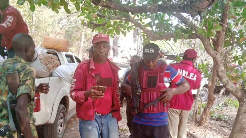 224 Drug Offenders Arrested Within Five Months - Osun NDLEA 
