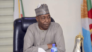 Zulum appoints maino, as acting scribe State pilgrims welfar