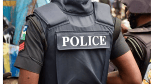 Ogun Police arrest three for selling Indian hemp 