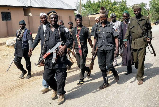 Vigilantes Kill 13 Terrorists In Niger State 