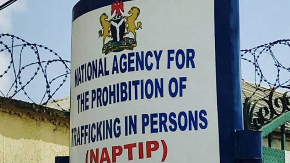 NAPTIP Dismisses Director, Four Others Over Bribery, Corrupt