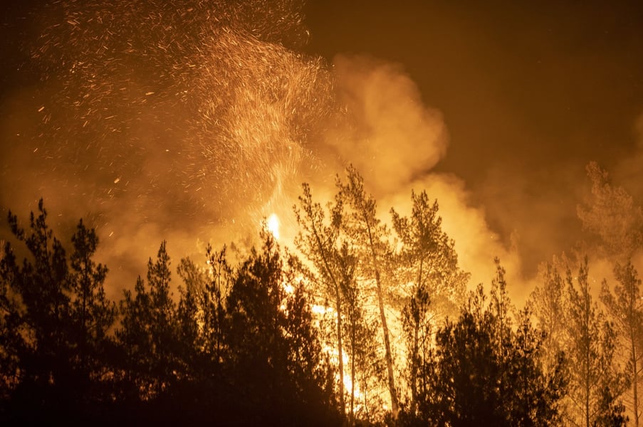 Turkey: Suspect Confesses To Arson In Connection To Wildfire