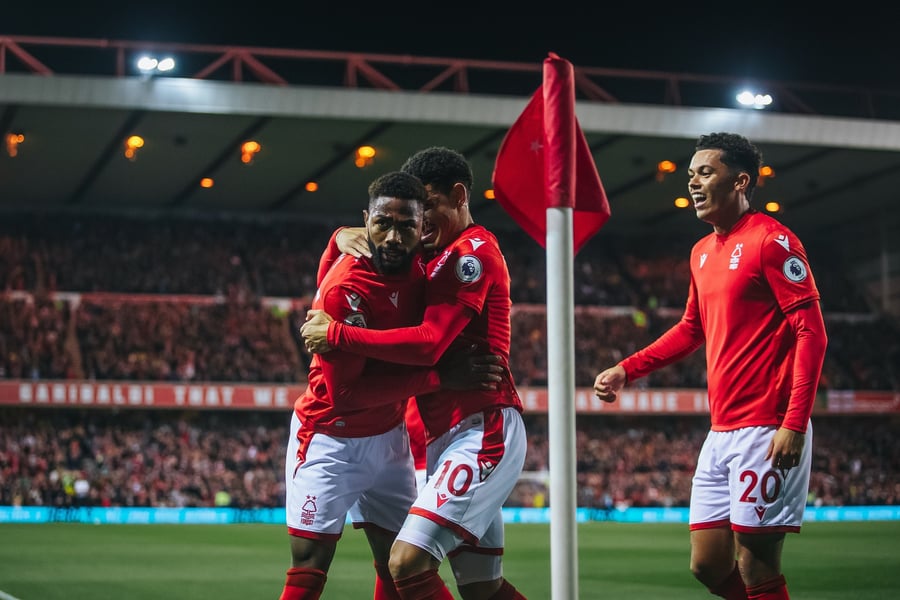EPL: Dennis's Goal Earns Nottingham Draw Against Resilient A