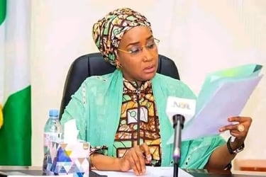 NPower Update: 390,000 Fresh Graduates On Board N-Power Batc