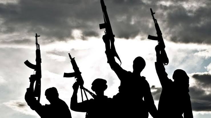 Gunmen Attack Police Station, Kidnap Two in Adamawa