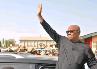 2023: Peter Obi's Camp Responds To Arthur Eze's Comments On 