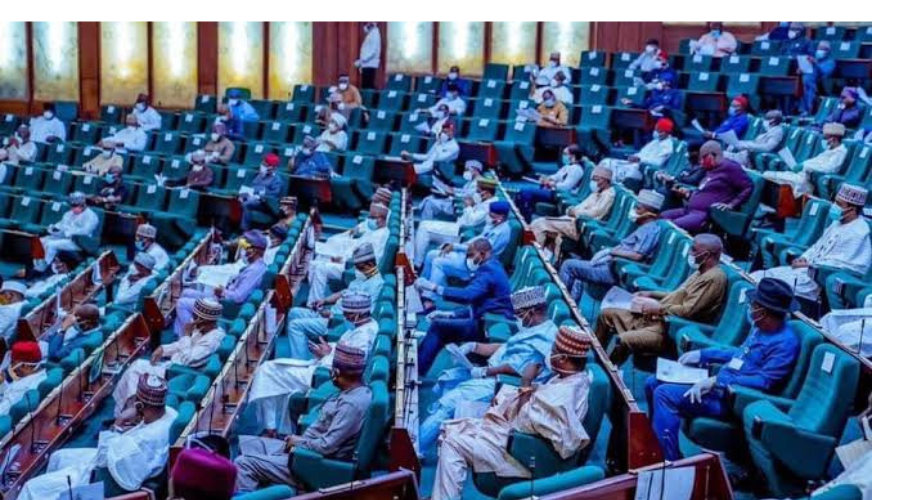 House Of Reps Disappointed As AGF Fails To Reconcile Remitt