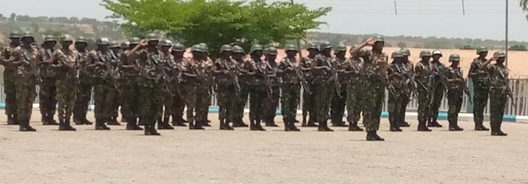 Guinea Bissau: Nigeria Army To Deploy 173 Troops For Peaceke