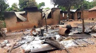 Tragic clash claims 40 lives in Benue Militia conflict