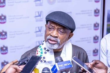 Ex-minister Ngige blames insecurity on governors