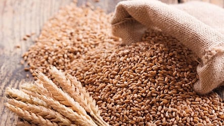  Jigawa to harness Ethiopia's agricultural 'magic' for wheat
