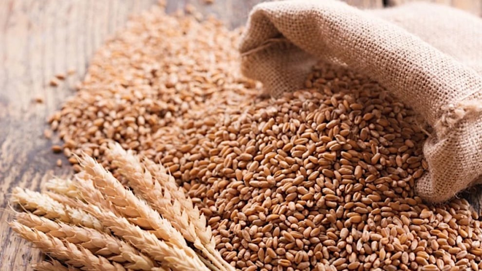 FG Secures $163 Million AfDB Loan For Wheat Production